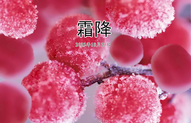 /uploads/image/2025/10/23/4606d31e5916da45d537afc01136e512.jpg 未标题-1.jpg