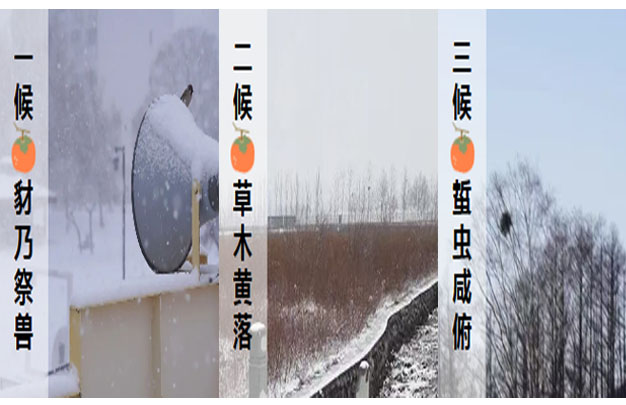 /uploads/image/2025/10/23/de9e2d4b193651a23c9ea15896c2d16e.jpg 未标题-2.jpg