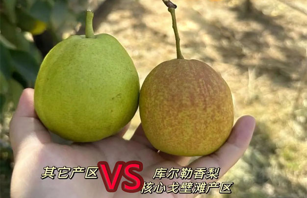 /uploads/image/2025/10/27/85adcdf8a98d7aba73dd9ae99a49381c.jpg 修2.jpg