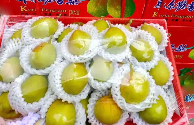 /uploads/image/2025/10/27/c689db9d0fcf03d44a3e804bcc291d94.jpg 修5.jpg