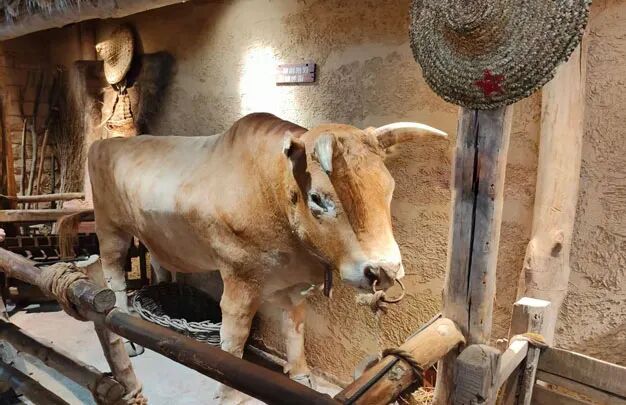 /uploads/image/2025/10/28/657fea2b8c51e455bd04fcbe52547d7e.jpg 640 (2).jpg