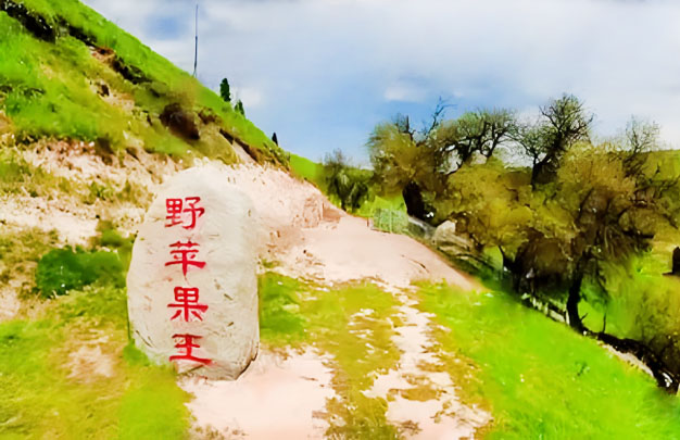 /uploads/image/2025/10/29/19047fbdd6ed2911dad055ccafec023f.jpg 未标题-2.jpg