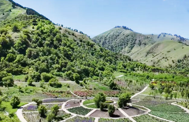 /uploads/image/2025/10/29/46304363e8c30c4b1b649e64bb16cbfd.jpg 未标题-10.jpg