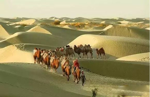 /uploads/image/2025/10/30/34145175266b3fa7ce2c681b4f0020e0.jpg 修6.jpg