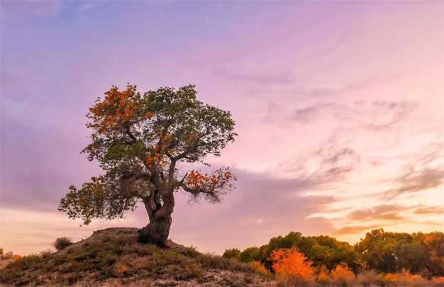 /uploads/image/2025/10/30/a4b49d9a3f48cd602d4fe704f83983ce.jpg 修11.jpg