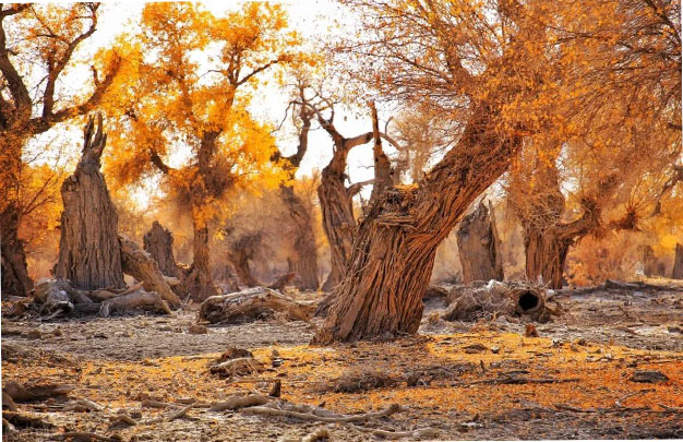 /uploads/image/2025/10/30/a8f191074bf096f8d6dffdb07d1c3cbc.jpg 修10.jpg