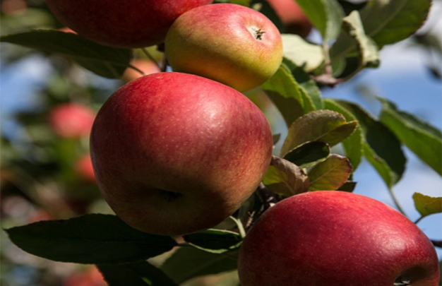 /uploads/image/2025/10/31/4e8da6ccf467eac9a609c66ce0493ad9.jpg 009.jpg