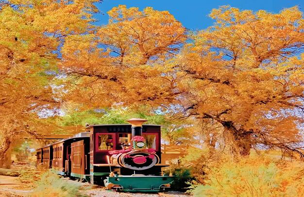 /uploads/image/2025/11/02/0672da43065b49f80b26c2ea21c690f6.jpg 3.jpg