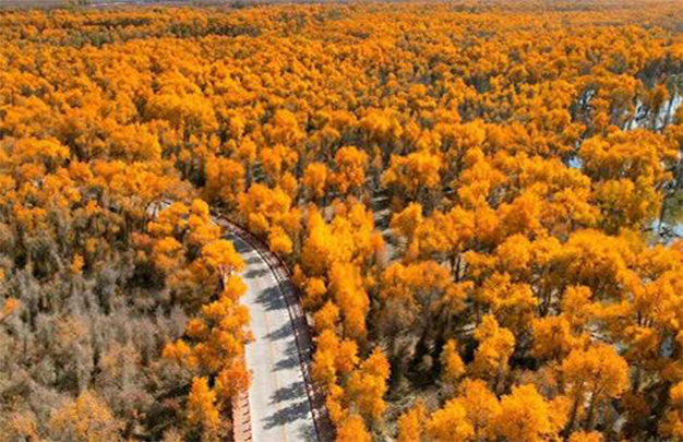 /uploads/image/2025/11/02/1059d2ec7fc4c0b2190abbf6ab626e28.jpg 1.jpg