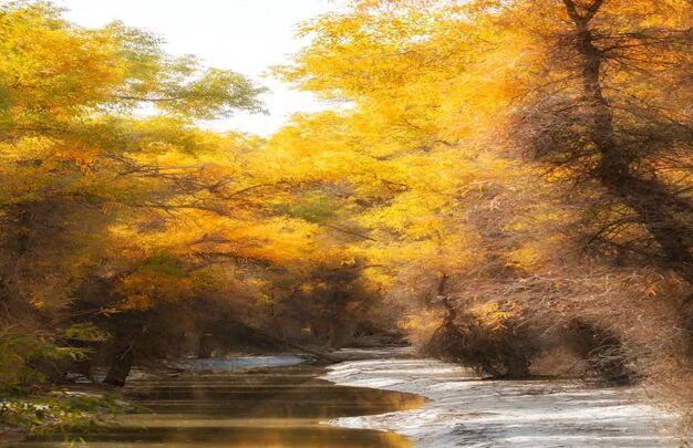 /uploads/image/2025/11/02/dedffab05b3cb7d7a6f30f953992e4d2.jpg 2.jpg