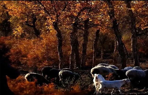 /uploads/image/2025/11/02/e06f07e81a6ce48cb72f969c4612a11c.jpg 7.jpg