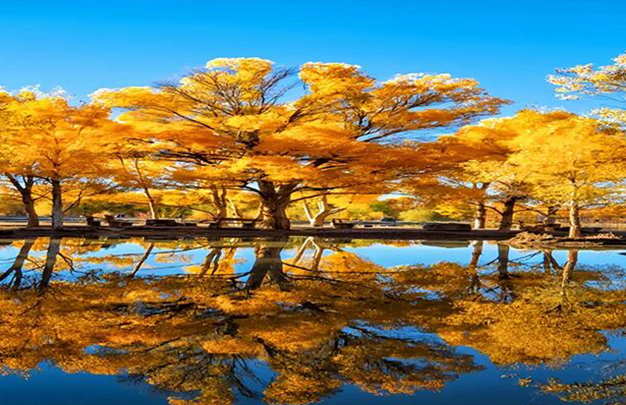 /uploads/image/2025/11/03/0699bab364d825ac97215322291fac3a.jpg 9.jpg