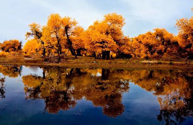 /uploads/image/2025/11/03/1728f8c21f9df53fd79f331d394a2600.jpg 1.jpg