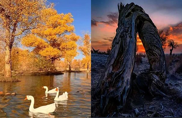 /uploads/image/2025/11/03/3a1762e5ed2f0f9160e5415fa651ab67.jpg 7.jpg