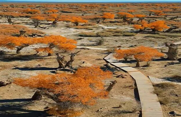 /uploads/image/2025/11/03/7a4f881b9f59c7d9a6fc60fe8779b71d.jpg 5.jpg