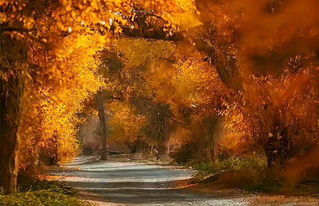 /uploads/image/2025/11/03/7ffb8b3c6957ab127aa39fa9eb498081.jpg 2.jpg