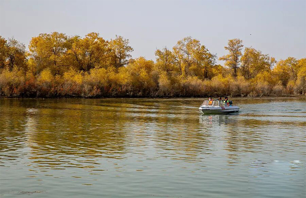 /uploads/image/2025/11/03/89f765083e4b59fbada8371bd604efab.jpg 修图3.jpg