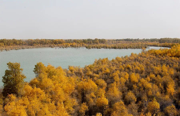 /uploads/image/2025/11/03/8a41518b5f91ae3f6605f57f208daf1c.jpg 修图2.jpg