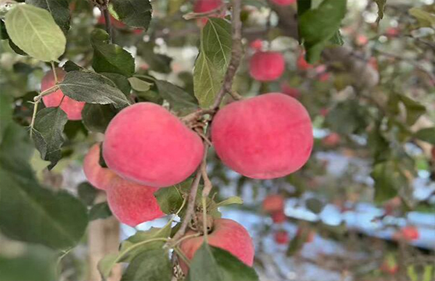 /uploads/image/2025/11/03/8d70f350d71add3bd32b093bb1f62709.jpg 5.jpg