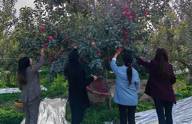 /uploads/image/2025/11/03/97137d81dd829d9299098b08bafd3528.jpg 7.jpg