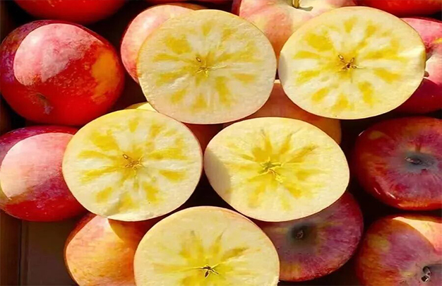 /uploads/image/2025/11/03/a683356f34343a71bd30b2897c947d03.jpg 10.jpg