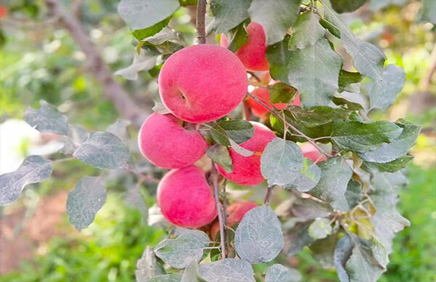 /uploads/image/2025/11/03/aca28734f233b16348faa10a00251960.jpg 8.jpg