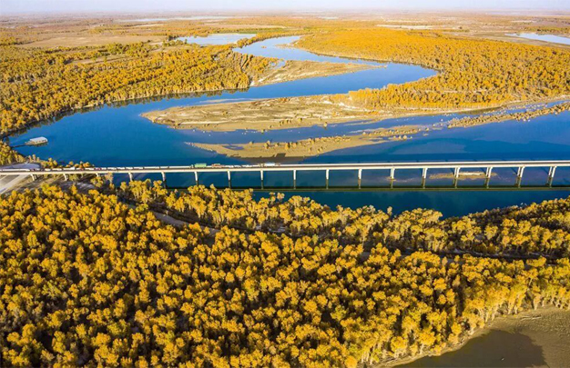 /uploads/image/2025/11/03/e4eb6ab358a87a30b27770e793528f1b.jpg 修图1.jpg