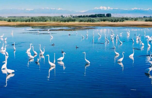 /uploads/image/2025/11/04/5d8bc07edcc4cd9f99ecc606fdd92021.jpg 6.jpg