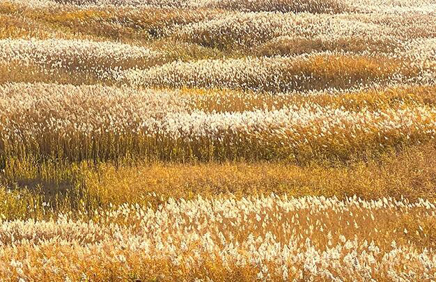 /uploads/image/2025/11/04/959f4caabf8904521018eddb84d4e4b8.jpg 4.jpg