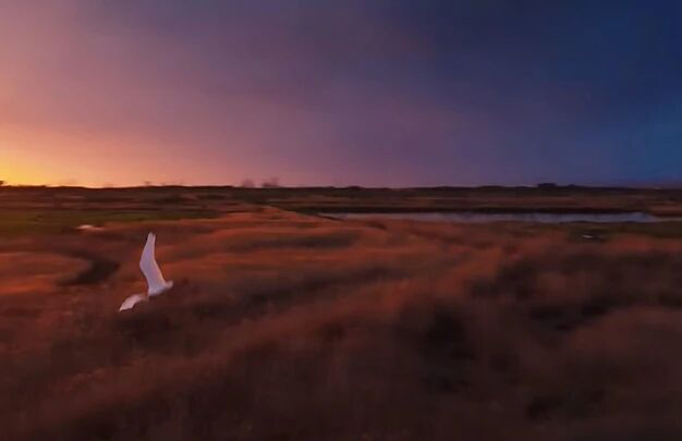 /uploads/image/2025/11/04/b0371f2aff22c563d39847ef69aff07c.jpg 7.jpg