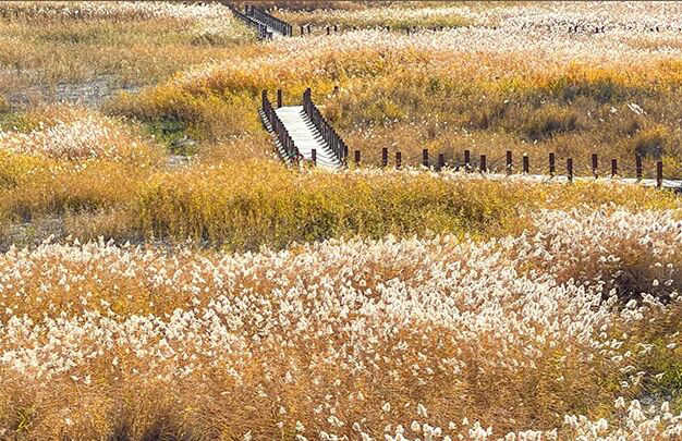 /uploads/image/2025/11/04/c9c22015ef44e137f00f33132d091018.jpg 3.jpg