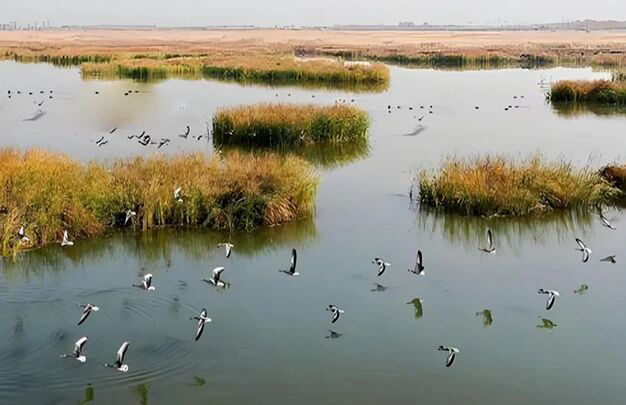 /uploads/image/2025/11/04/d589f5cf05b30cb162a9f649b39d8a8f.jpg 2.jpg