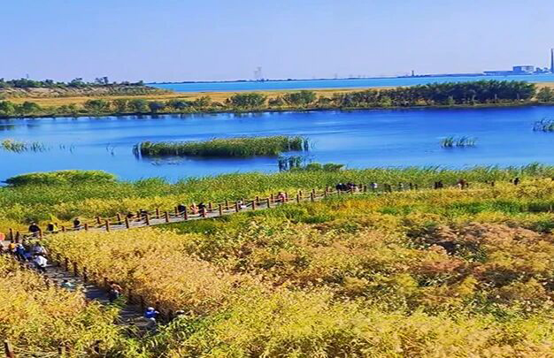 /uploads/image/2025/11/04/e5a47636c9f0fa875b1bee5ccbaa7ac4.jpg 8.jpg