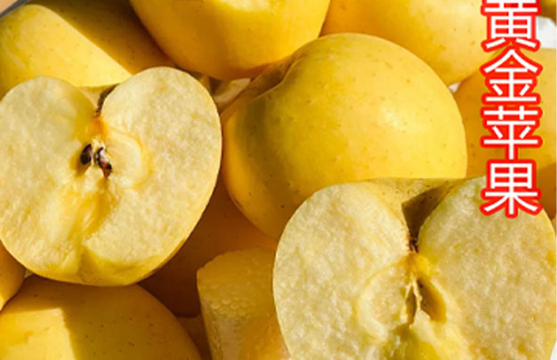 /uploads/image/2025/11/05/4ba736dfe6fc998e068a9e9764184ef1.jpg 修 14.jpg