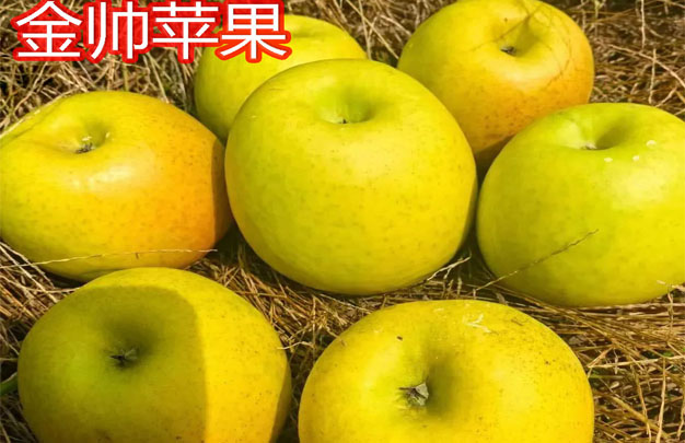 /uploads/image/2025/11/05/80c57c31d42f87f61da6dbfd8682e017.jpg 修 10.jpg