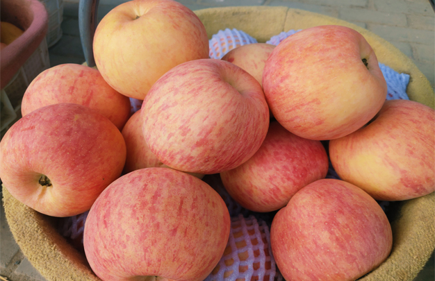 /uploads/image/2025/11/05/8717e6d04bccf1e1b5423171a8d382c5.jpg 修 1.jpg