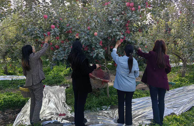 /uploads/image/2025/11/05/c6fc5ddd5bdf180ba6741738e3bf8381.jpg 修 5.jpg