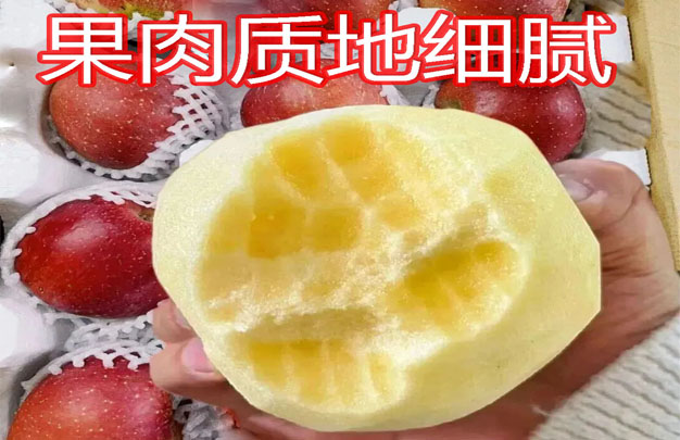 /uploads/image/2025/11/05/f060f719754e891a2884773e08f23df7.jpg 修 8.jpg