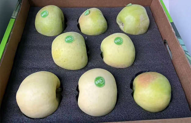 /uploads/image/2025/11/05/f14f956b9fb06fba56122664e0a9817b.jpg 13.jpg