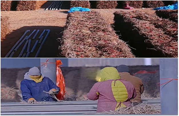 /uploads/image/2025/11/06/4f441a2b2cb48619551e0c1238decab3.jpg 6.jpg