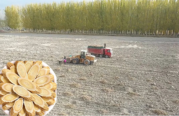 /uploads/image/2025/11/06/72887146c1e6809af9d36743fdb5637f.jpg 1.jpg