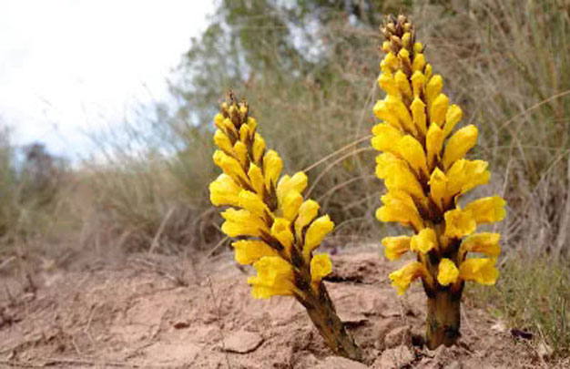 /uploads/image/2025/11/06/8300ad3086c53255c628bcfa4232b3e1.jpg 修 1.jpg