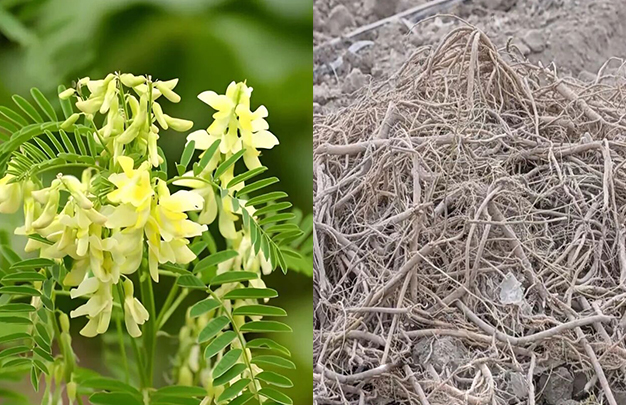 /uploads/image/2025/11/06/b85cf2a5e6b0b6344b9a2975c806d90d.jpg 2.jpg