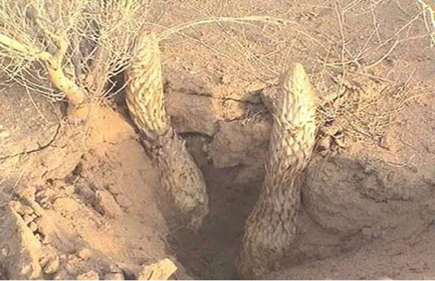 /uploads/image/2025/11/06/cde30560373acb4c635596b42cbba293.jpg 修4.jpg