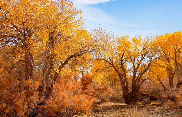 /uploads/image/2025/11/06/dadebc51fd406dde2e7e453ec36e91db.jpg 7.jpg