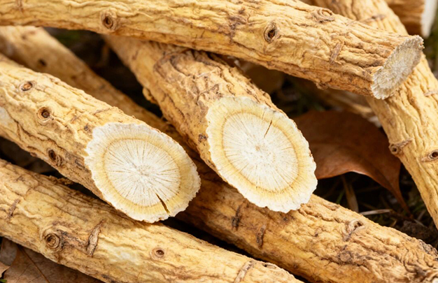 /uploads/image/2025/11/06/ff7132b1d18e59c995c635594f5b2ab0.jpg 7.jpg