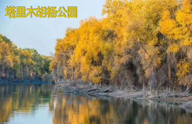 /uploads/image/2025/11/08/0742253ca2acf1288e0559266c0726e9.jpg 修5.jpg