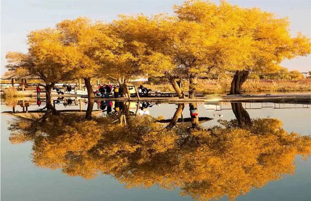 /uploads/image/2025/11/08/80132f505afe303605fcc85354892ac6.jpg 修图8.jpg