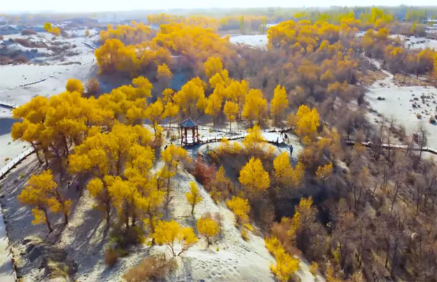 /uploads/image/2025/11/08/f7a94a7d767ecae5c0e87b1cffb20250.jpg 修图1.jpg