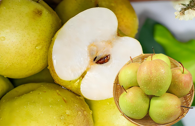 /uploads/image/2025/11/10/0ab1d6bb34c0f1f6f3ebd8e6357449e0.jpg 03.jpg